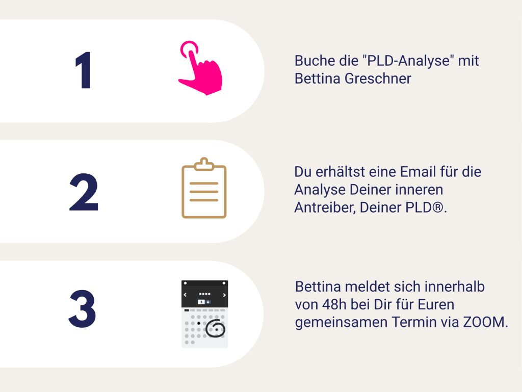 Personal Life Driver / PLD-Analyse - so geht's